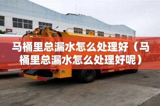马桶里总漏水怎么处理好（马桶里总漏水怎么处理好呢）