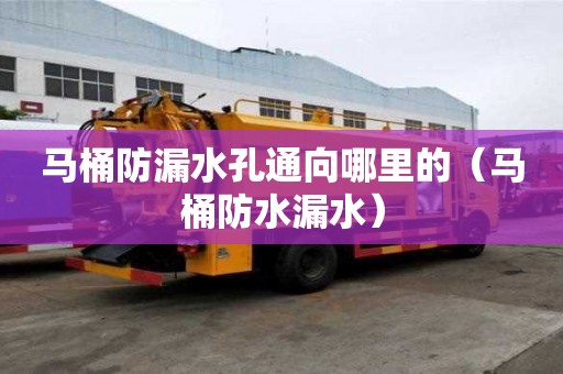马桶防漏水孔通向哪里的（马桶防水漏水）