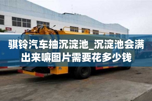 骐铃汽车抽沉淀池_沉淀池会满出来嘛图片需要花多少钱
