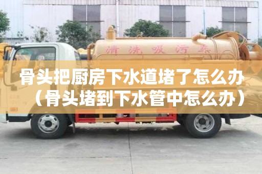 骨头把厨房下水道堵了怎么办(骨头堵到下水管中怎么办) 骨头把厨房下水道堵了怎么办(骨头堵到下水管中怎么办)