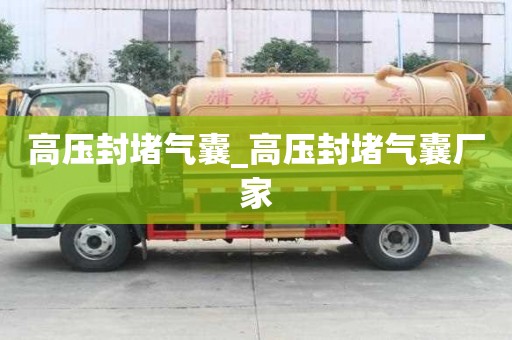 高压封堵气囊_高压封堵气囊厂家