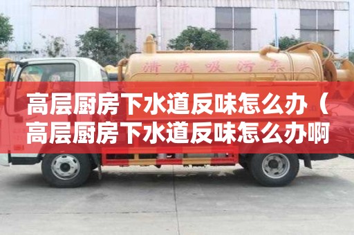 高层厨房下水道反味怎么办（高层厨房下水道反味怎么办啊）