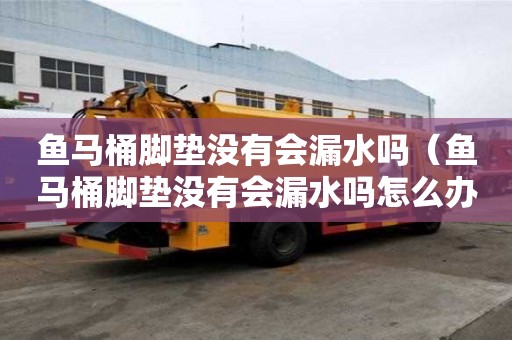 鱼马桶脚垫没有会漏水吗（鱼马桶脚垫没有会漏水吗怎么办）