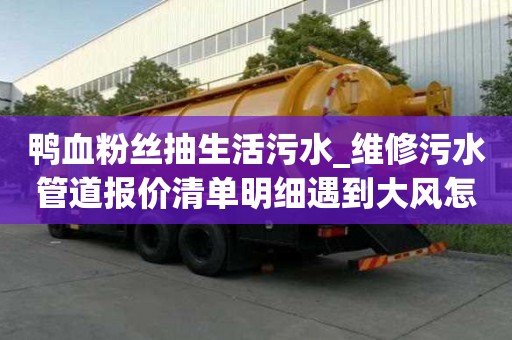 鸭血粉丝抽生活污水_维修污水管道报价清单明细遇到大风怎么办