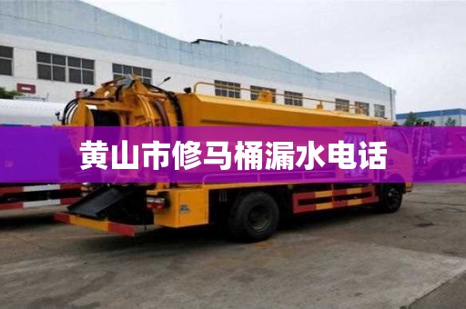 黄山市修马桶漏水电话 黄山市修马桶漏水电话