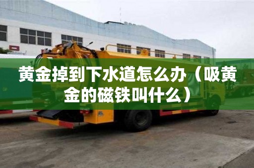 黄金掉到下水道怎么办（吸黄金的磁铁叫什么）