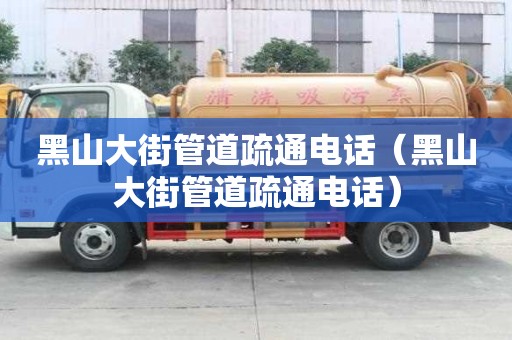 黑山大街管道疏通电话(黑山大街管道疏通电话) 黑山大街管道疏通电话(黑山大街管道疏通电话)