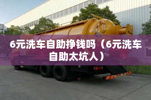 6元洗车自助挣钱吗（6元洗车自助太坑人）