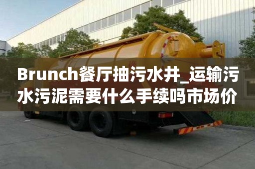 Brunch餐厅抽污水井_运输污水污泥需要什么手续吗市场价格