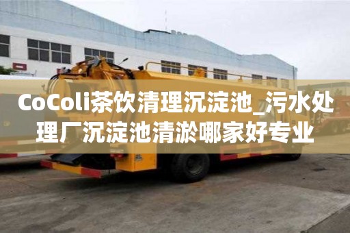 CoColi茶饮清理沉淀池_污水处理厂沉淀池清淤哪家好专业