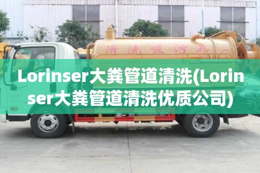 Lorinser大粪管道清洗(Lorinser大粪管道清洗优质公司)