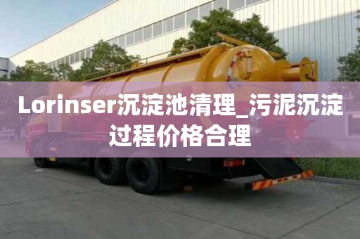 Lorinser沉淀池清理_污泥沉淀过程价格合理