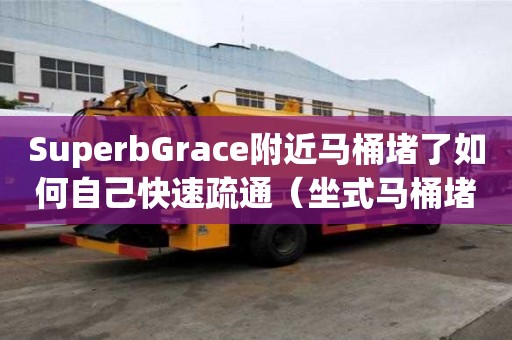 SuperbGrace附近马桶堵了如何自己快速疏通（坐式马桶堵了如何自己快速疏通）