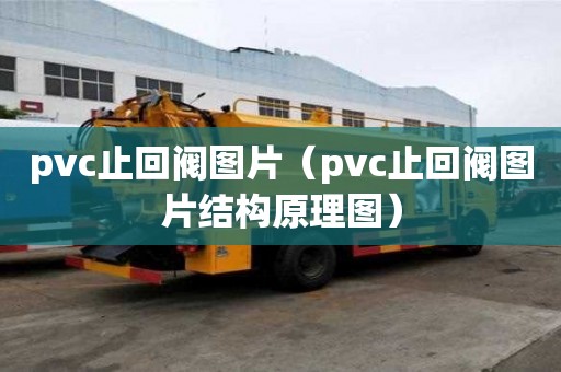 pvc止回阀图片（pvc止回阀图片结构原理图）