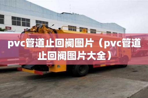 pvc管道止回阀图片（pvc管道止回阀图片大全）